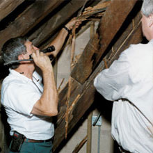 Treatments for termites